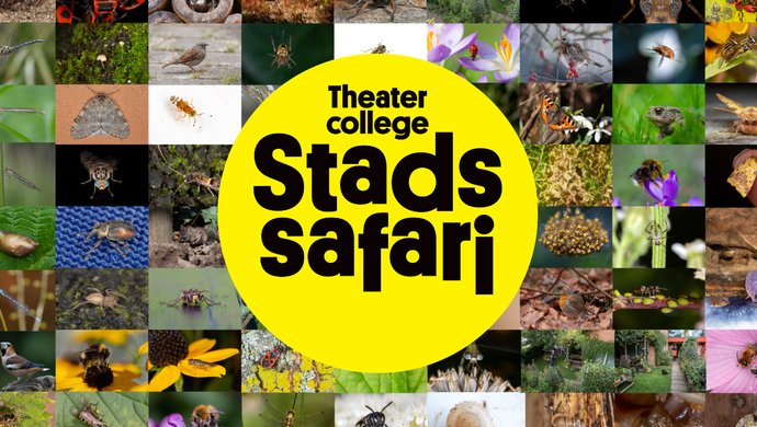 Stadssafari - Theatercollege 2026