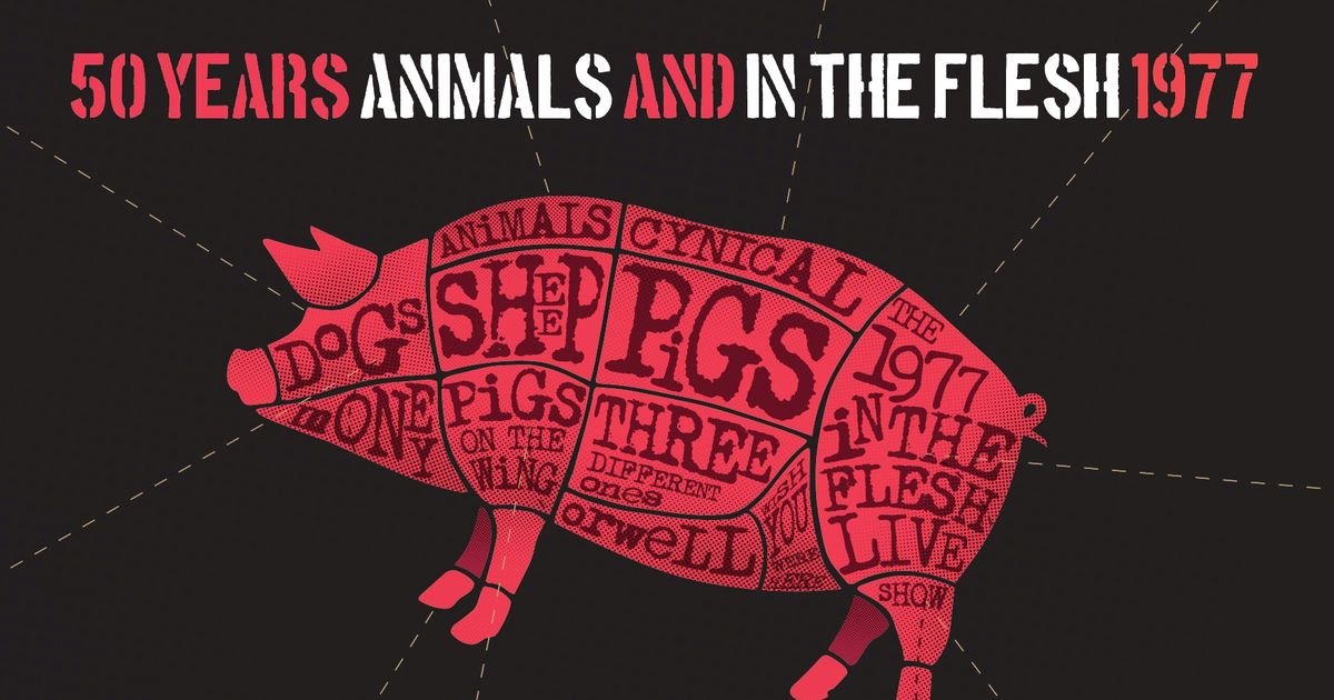 Pink Floyd Project — 50 years of Animals & In The Flesh