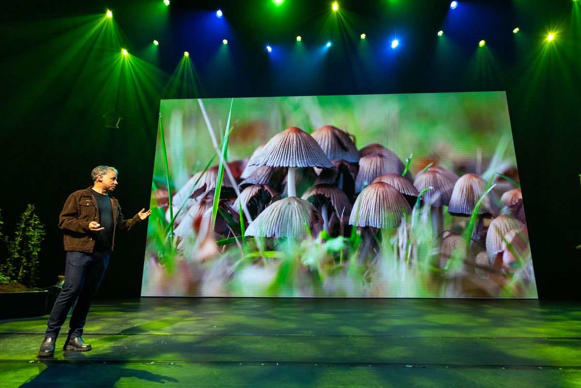 Stadssafari - Theatercollege 2026
