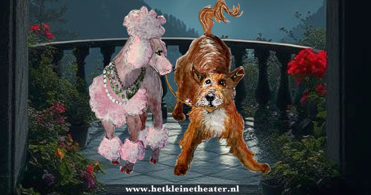 Lady en de Vage Hond — Het Kleine Theater