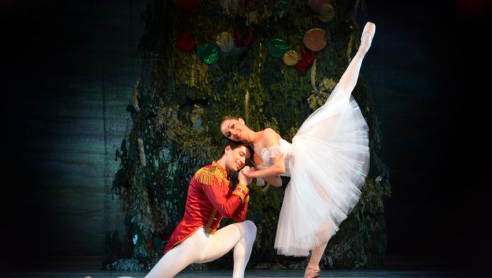Charkiv City Ballet - De Notenkraker - Dans 2026