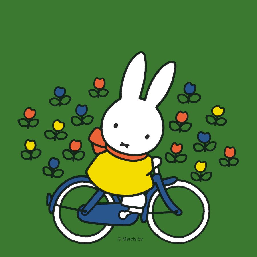 nijntje op de fiets - Jeugd & Familie 2026