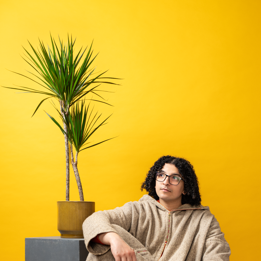 Ayoub - 28 november in AGORA Lelystad