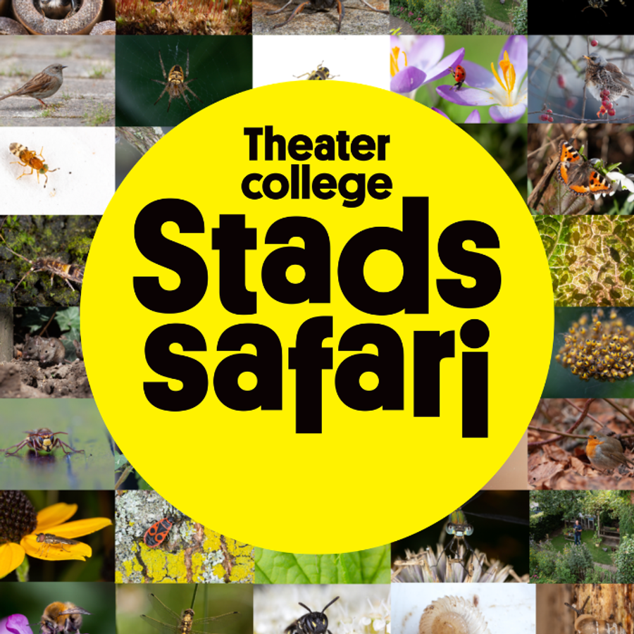 Stadssafari - Theatercollege 2026