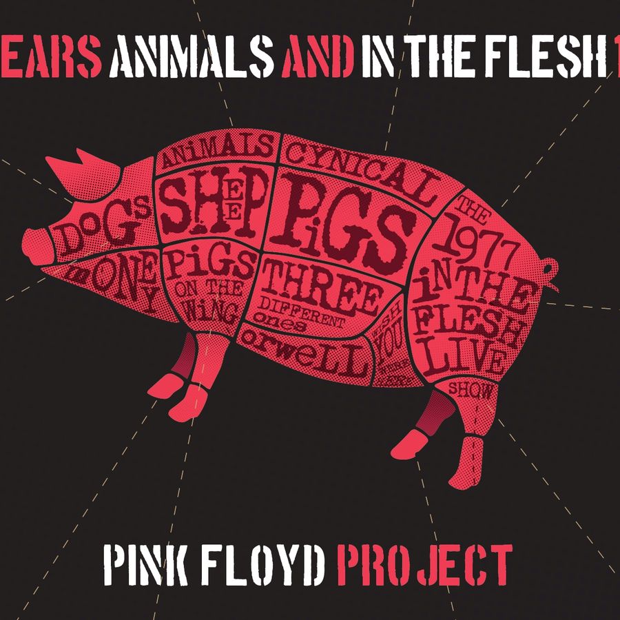 Pink Floyd Project - Muziek/Tribute 2026