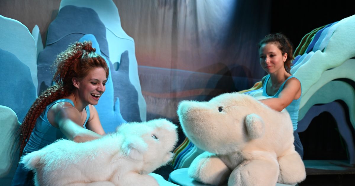 De Kleine IJsbeer (2+)